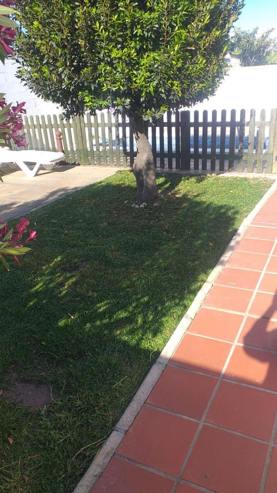 Bellavista De Conil Villa Conil De La Frontera Eksteriør billede