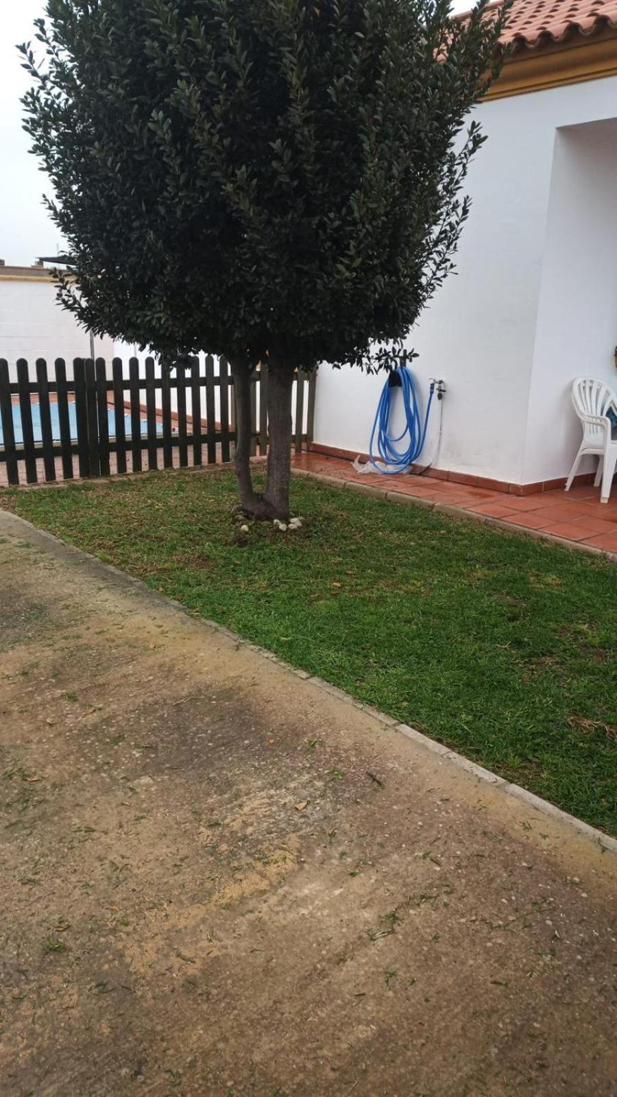 Bellavista De Conil Villa Conil De La Frontera Eksteriør billede